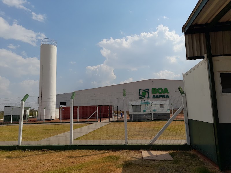Boa Safra Sementes
