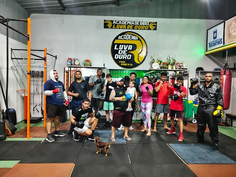 Boxe Luva de Ouro