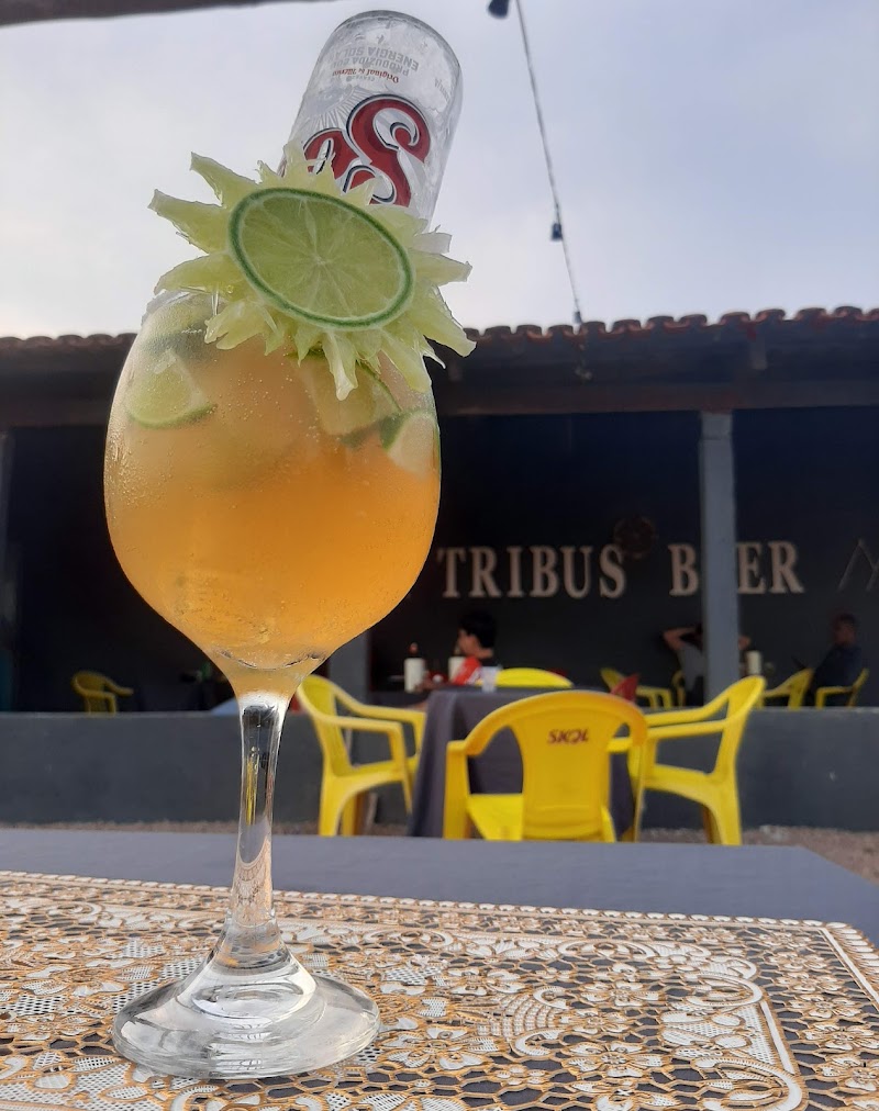 Tribus Beer
