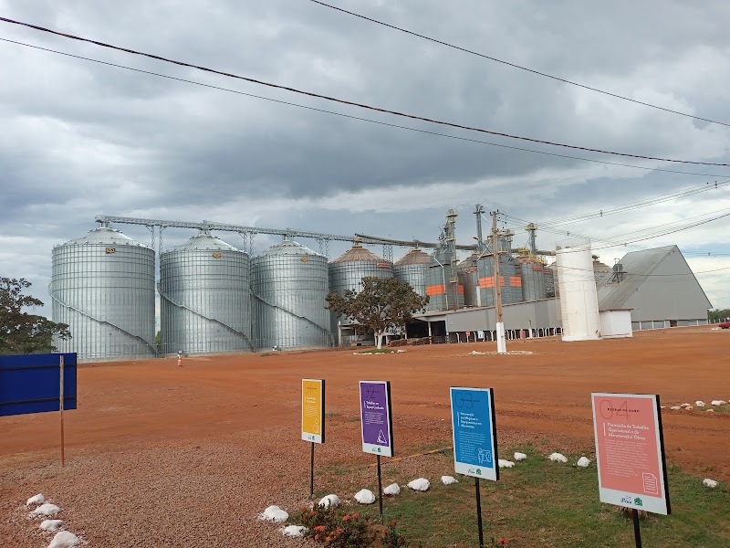 Cooperativa Frísia