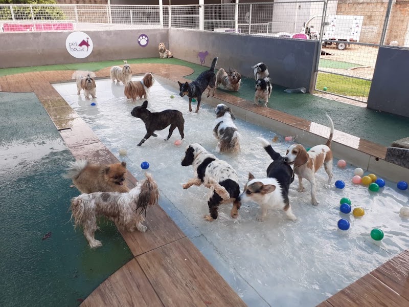 Pet House