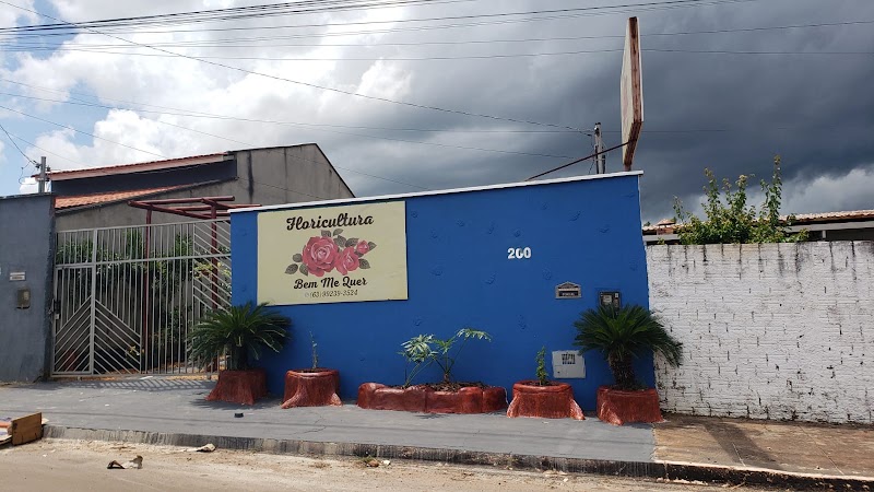 Floricultura Bem Me Quer