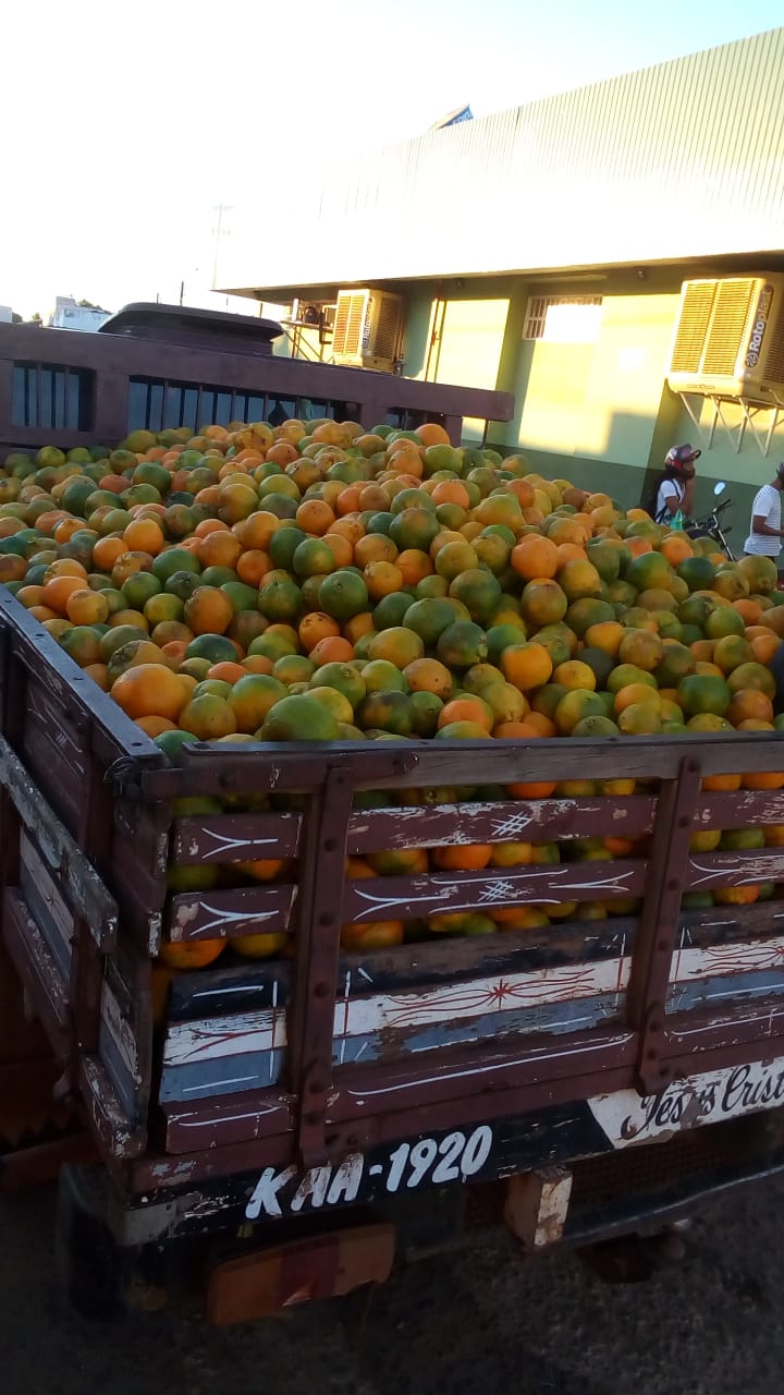 Paraiso das Frutas