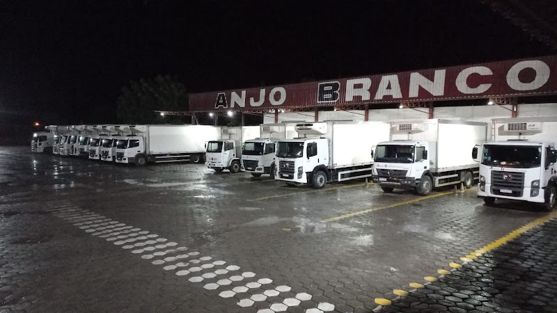 Grupo Anjo Branco